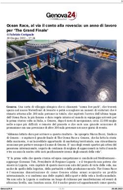 Ocean Race, al via il conto alla rovescia: un anno di lavoro per 'The Grand Finale' - Genova24