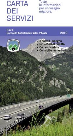 2019 RAV Raccordo Autostradale