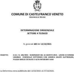 COMUNE DI CASTELFRANCO VENETO - Comune di ...