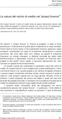 La natura del rischio di credito nel "project finance"