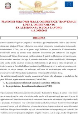 Piano Dei Percorsi Per Le Competenze Trasversali E Per L Orientamento