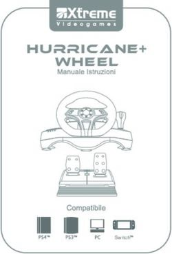 HURRICANE+ WHEEL - Xtreme