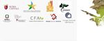 BLENDED TRAINING CORSO DI AGGIORNAMENTO - RemTech Expo