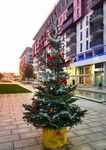 TANTI AUGURI DI BUONE FESTE! - LE NOTIZIE DEL COMITATO DI QUARTIERE MILANO SANTA GIULIA