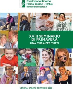 XViii Seminario di primaVera - una cura per tutti - Verona, Sabato 30 maggio 2020