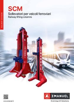 SCMSollevatori per veicoli ferroviari - Railway lifting columns - Evolving Lift Solutions