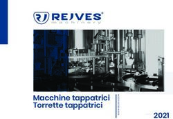 Macchine tappatrici Torrette tappatrici - Rejves
