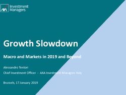 Growth Slowdown Macro and Markets in 2019 and Beyond - Alessandro Tentori Chief Investment Officer - AXA Investment Managers Italy - Investors ...