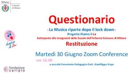 Questionario Restituzione - Marted&igrave; 30 Giugno Zoom Conference - diamoilla