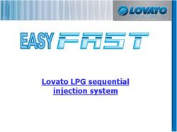 Lovato LPG sequential injection system