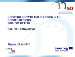 BOOSTING GROWTH AND COHESION IN EU BORDER REGIONS PROJECT HEALTH SALUTE - ZDRAVSTVO - Mérida, 25.10.2017