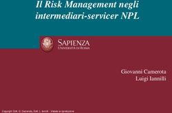 Il Risk Management negli intermediari-servicer NPL - Giovanni Camerota Luigi Iannilli
