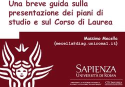 Una breve guida sulla presentazione dei piani di studio e sul Corso di Laurea - Massimo Mecella - Catalogo dei Corsi di studio