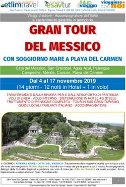 CON SOGGIORNO MARE A PLAYA DEL CARMEN - Etlim Travel