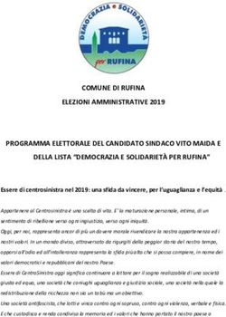 COMUNE DI RUFINA ELEZIONI AMMINISTRATIVE 2019 PROGRAMMA ELETTORALE DEL CANDIDATO SINDACO VITO MAIDA E
