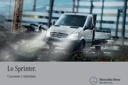 Lo Sprinter. Cassonato e Autotelaio - Fiemme Noleggi