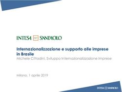 Internazionalizzazione e supporto alle imprese in Brasile - Michele Cittadini, Sviluppo Internazionalizzazione Imprese