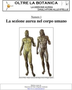 La sezione aurea nel corpo umano - Numero