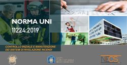NORMA UNI 11224:2019 CONTROLLO INIZIALE E MANUTENZIONE DEI SISTEMI DI RIVELAZIONE INCENDI