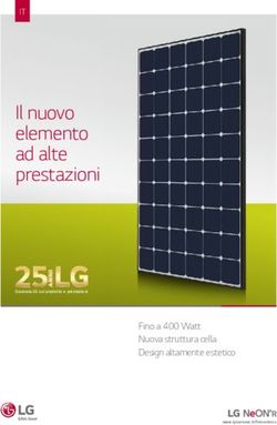 Il nuovo elemento ad alte prestazioni - Fino a 400 Watt Nuova struttura cella Design altamente estetico