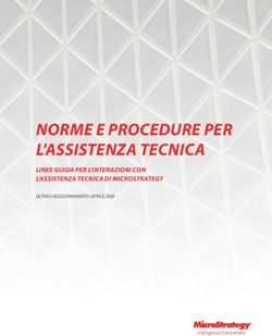 NORME E PROCEDURE PER L'ASSISTENZA TECNICA - LINEE GUIDA PER L'INTERAZIONI CON L'ASSISTENZA TECNICA DI MICROSTRATEGY