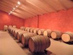 CANTINA MONTONALE (BS), D'AUTUNNO 2019 È TEMPO DI VENDEMMIA