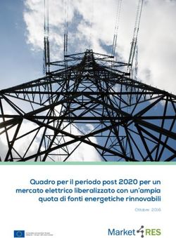 Quadro per il periodo post 2020 per un mercato elettrico liberalizzato con un'ampia quota di fonti energetiche rinnovabili