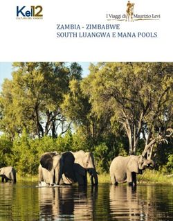 ZAMBIA - ZIMBABWE SOUTH LUANGWA E MANA POOLS