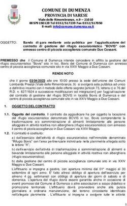 COMUNE DI DUMENZA PROVINCIA DI VARESE
