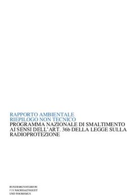 RAPPORTO AMBIENTALE RIEPILOGO NON TECNICO PROGRAMMA NAZIONALE DI SMALTIMENTO AI SENSI DELL'ART. 36b DELLA LEGGE SULLA RADIOPROTEZIONE - AIA