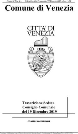 Comune di Venezia - Trascrizione Seduta Consiglio Comunale del 19 Dicembre 2019