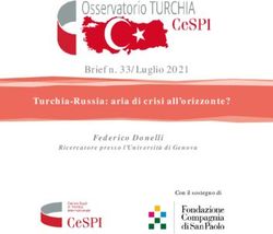 BRIEF N. 33/LUGLIO 2021 - TURCHIA-RUSSIA: ARIA DI CRISI ALL'ORIZZONTE? FEDERICO DONELLI - CESPI