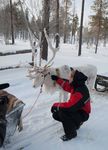 IL MONDO DI BABBO NATALE - Giver Viaggi