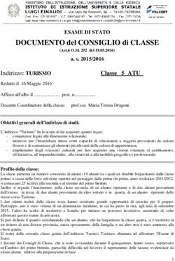 DOCUMENTO del CONSIGLIO di CLASSE - 33 ESAME DI STATO - IIS 'Luigi Einaudi ...