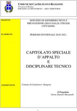 CAPITOLATO SPECIALE D'APPALTO E DISCIPLINARE TECNICO