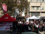 ANEMIA E CUORE Maria Frigerio Direttore Cardiologia 2 - Insufficienza Cardiaca e Trapianto De Gasperis CardioCenter Ospedale Niguarda, Milano