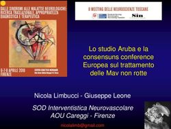 Lo studio Aruba e la consensuns conference Europea sul trattamento delle Mav non rotte Nicola Limbucci - Giuseppe Leone