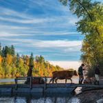 VILLA OLMO 30 giugno 15 agosto - Festival - VisitComo