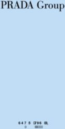 COMPANY PROFILE GIUGNO 2017 - Prada Group