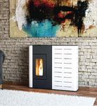 Bioecotermo HEATING REVOLUTION - STUFE, TERMOSTUFE E CALDAIE A PELLETS - Crea Elettrodomestici