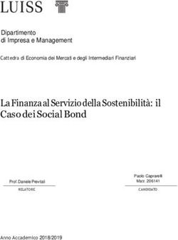 La Finanza al Servizio della Sostenibilit&agrave;: il Caso dei Social Bond