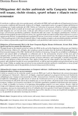 Mitigazione del rischio ambientale nella Campania interna: sedi umane, rischio sismico, sprawl urbano e rilancio socio-economico - AGEI