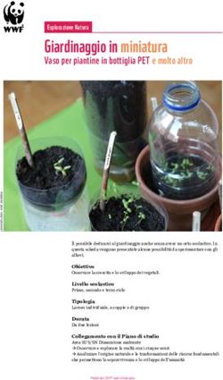 Giardinaggio in miniatura - Vaso per piantine in bottiglia PET e molto altro