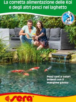 La corretta alimentazione delle Koi e degli altri pesci nel laghetto - Pesci sani e colori intensi con il mangime giusto