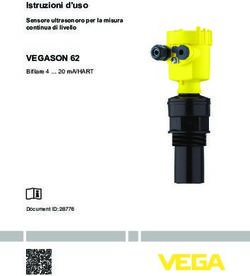 VEGASON 62 Bifilare 4 20 mA/HART - Istruzioni d'uso - Bifilare 4 20 mA/HART