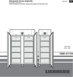 7085 417-04 Istruzione d'uso originale Congelatore industriale Prima di mettere in funzione l'apparecchio leggere le istruzioni d'uso - Bsd Spa