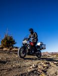 ACCESSORI E RICAMBI HARLEY-DAVIDSON - Pan America 2021
