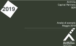 2019 Ant hilia Capit al Part ners - SGR Analisi di scenario Maggio 2019 - Anthilia Sgr