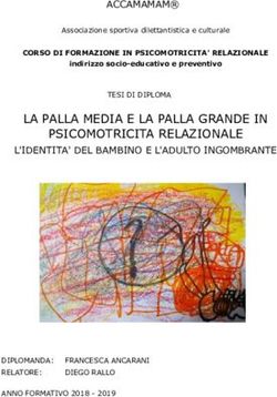 LA PALLA MEDIA E LA PALLA GRANDE IN PSICOMOTRICITA RELAZIONALE