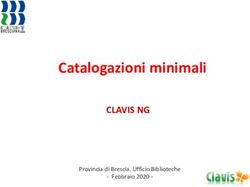 Catalogazioni minimali - CLAVIS NG Provincia di Brescia. Ufficio Biblioteche - Febbraio 2020 - Sistema bibliotecario ...